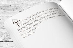 Web Font Springer Product Image 2