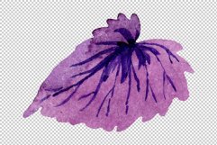 Begonia leaves Watercolor png Product Image 3