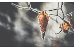 63 Avantgarde Lightroom Presets Product Image 2