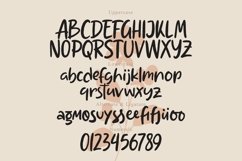 Web Font Nottable - Handrawn Font Product Image 3