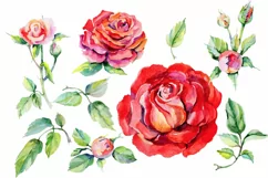 Roses PNG watercolor flower set - Free Design of The Week Product Image 2