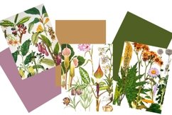 Vintage Botanical Full Page Floral Sheets 8.5 x 11, PDF Product Image 6