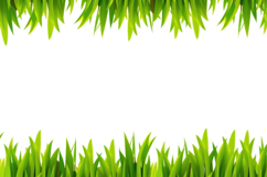 Green Grass On A White Background Product Image 1