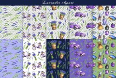 Watercolor lavender clipart Product Image 4