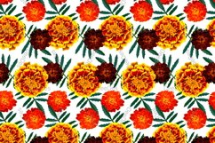 12 Seamless colorful FLOWER patterns bundle. Digital Paper Product Image 15