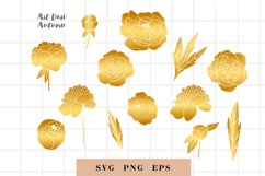 Peony svg, Hand drawn peony flowers PNG, Flowers SVG Product Image 1