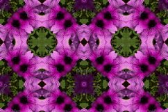 12 abstract Seamless colorful FLOWER patterns pack. Product Image 5