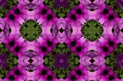 12 abstract Seamless colorful FLOWER patterns pack. Product Image 5