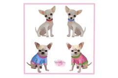 Watercolor Chihuahua Png clipart Product Image 2