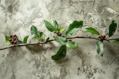 Branch with green leaves and berries growing on grunge wall Product Image 1