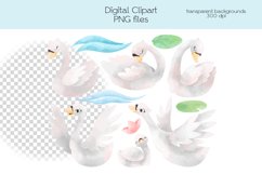 Wild Swan Clipart - PNG Files Product Image 3
