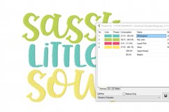 Sassy Little Soul Machine Embroidery Design 2 sizes Product Image 2