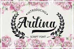 Web Font Ardina Script Product Image 1