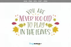 You Are Never Too Old to Play in the Leaves - svg, printable Product Image 2