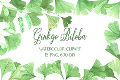 Watercolor Clipart Ginkgo Biloba Green and Gold Product Image 1