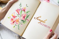 Beautiful alstroemeria Bouquets Watercolor png Product Image 6