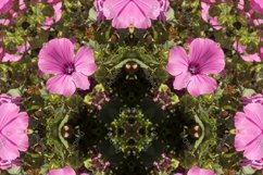 12 abstract Seamless colorful FLOWER patterns pack. Product Image 11