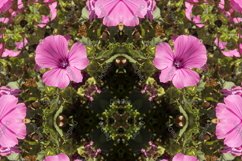 12 abstract Seamless colorful FLOWER patterns pack. Product Image 11