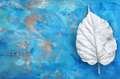 White Leaf wiith Blue Background Wallpaper Product Image 1