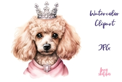 Watercolor Poodle Clipart Set Cute Dog Illustration Bundle Product Image 1
