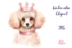 Watercolor Poodle Clipart Set Cute Dog Illustration Bundle Product Image 1