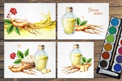 Ginseng. Watercolor collection Product Image 5
