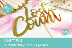 Lost Count SVG | Funny Cake Topper SVG for Adult Birthday Product Image 3