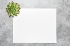 Mockup blank paper floral flatlay suculent stock photo Product Image 1