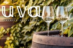 Web Font Jasmine Product Image 5