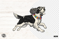 Vintage Summer Dog Png Sublimation - Summer Dog Clipart Product Image 1