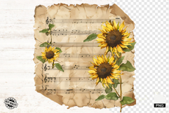 Floral Music Sheets Clipart Product Image 1