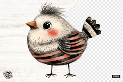 Quirky Whimsical Summer Bird Png Sublimation - Birds Clipart Product Image 1