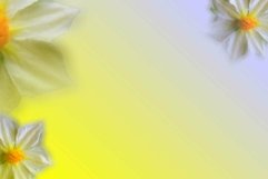 Background flower gradation for sublim or printing 6 Product Image 1