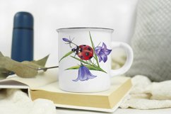 Ladybug bluebell sublimation Watercolor design for print PNG Product Image 3