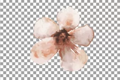 Faded orange and blush flowers and green leaves watercolor Product Image 12