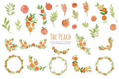 Peaches Greenery Watercolour, Peaches Clipart Product Image 1