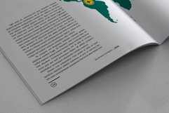 Indesign Business Company Product Image 8