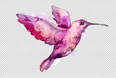 Colibri Small bird Watercolor png Product Image 5
