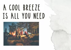 Bonfire - A Bold Handwritten Font - Free Font of The Week Product Image 6