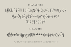 North Avenue Script Font Product Image 10