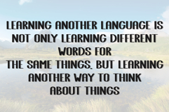 Abold Product Image 4