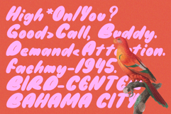 Abromies - Bold Fat Bubble Logo Branding Font Product Image 10