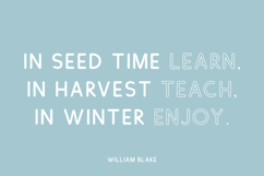 Absolute Zero Duo - Solid and Outline Product Image 7