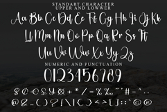 Absolute Product Image 4