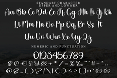 Absolute Product Image 4