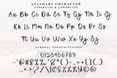 Absolute Product Image 5