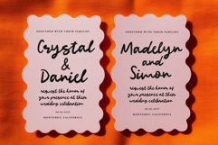 Absolutely Darling Bold Script Font Handwritten Retro Vibes Product Image 5