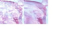Abstract Beach Watercolor Digital Papers Glitter Background Product Image 5