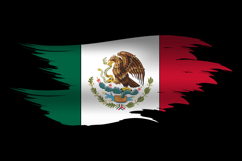 Abstract brush art mexico flag design vector Product Image 1