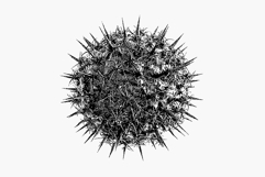 Abstract Dithering Bitmap Shapes Product Image 5